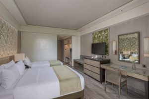 Deluxe Room B