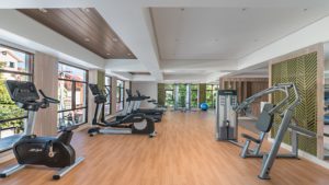 Gym and Fitness Center
